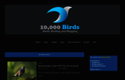 10000birds.com