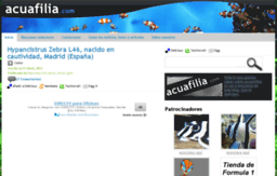 acuafilia.com