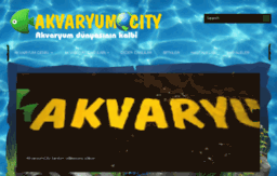 akvaryumcity.com