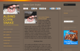 albino-corn-snake.com