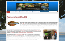 angfaqld.org.au