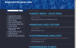 angrybirds-now.com