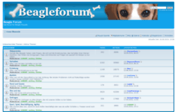 beagleforum.de