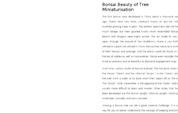 beauty-of-bonsai-tree.com