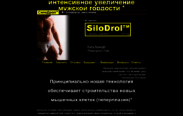 beta.silodrol.ru