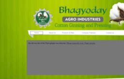 bhagyodayagro.com