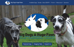 bigdogshugepaws.com