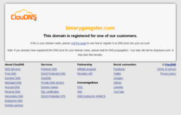 binarygangster.com