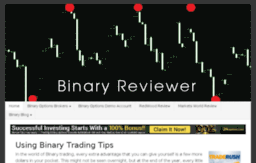 binaryreviewer.info