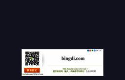 bingdi.com
