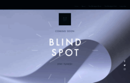 blindspotbook.com