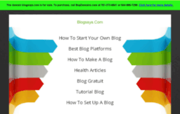 blogsaya.com
