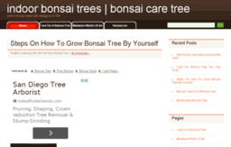bonsai-tree-masters.com