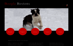 boston-terrier-kennel.com