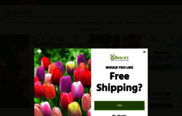 brecks.com