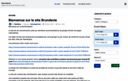 brundevie.com