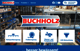 buchholz-pumpen.de