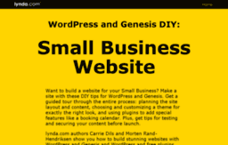 business.wpdiy.net
