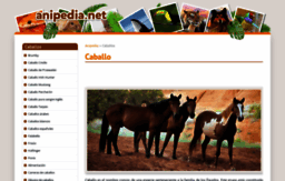 caballos.anipedia.net