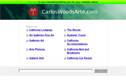carloswoodsarte.com