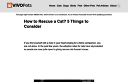 cat-rescue.org