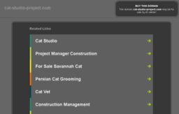 cat-studio-project.com
