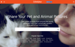 cdn.cutestpaw.com