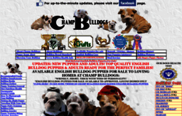 champbulldogs.com