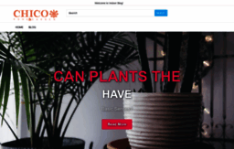 chicohomeandgarden.com