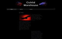cichlidwarehouse.co.za