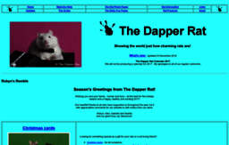 dapper.com.au