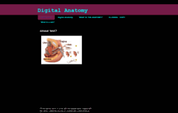 digital-anatomy.blogspot.com