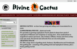 divinecactus.com
