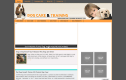 dogcare-training.blogspot.com