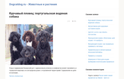 dogcatdog.ru