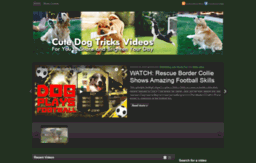 dogtricksvideos.com