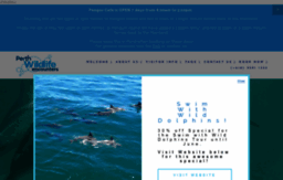 dolphins.com.au