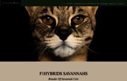 f1hybrids.com