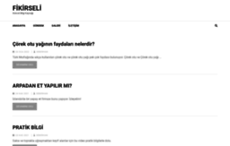 fikirseli.com