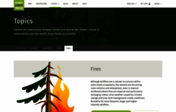 fires.globalforestwatch.org