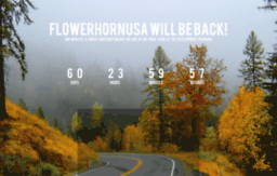flowerhornusa.com