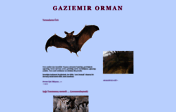 gaziemir-orman.blogspot.com