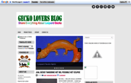geckolovers.blogspot.com