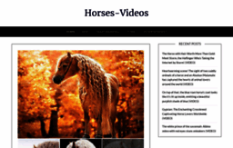 horses-videos.com