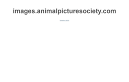 images.animalpicturesociety.com