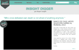 insightdigger.com