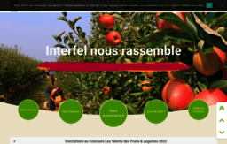 interfel.com