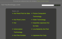koi-technology.com