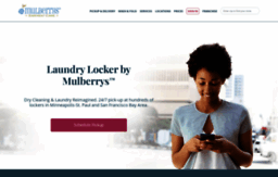 laundrylocker.com