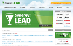 lead.crmstyle.com